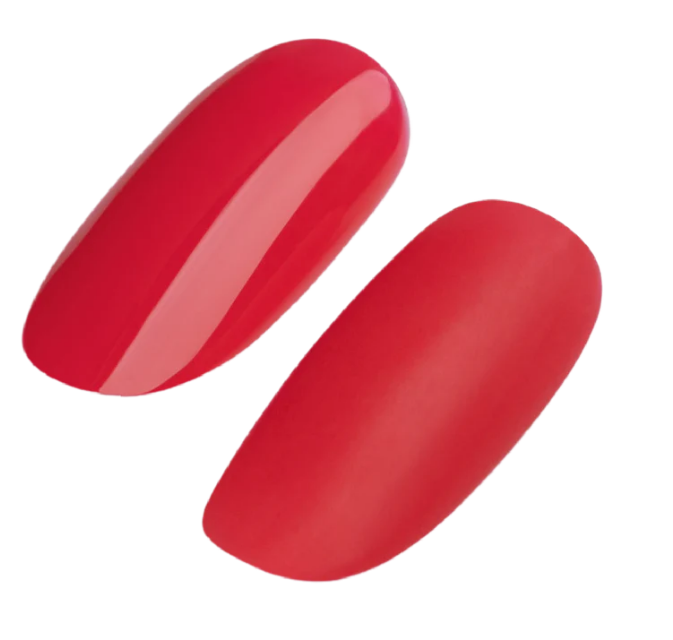 Gel Polish #200-#299