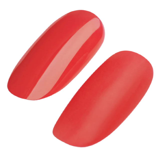 Gel Polish #200-#299