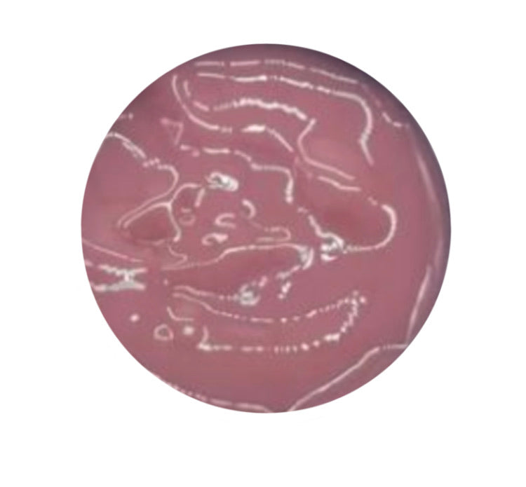 Sculpting Gel - 60ml